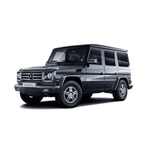 Выкуп битых запчастей Mercedes Mercedes G-klasse