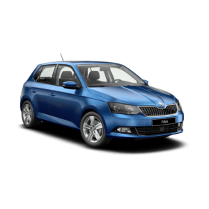 Выкуп глушителей Skoda Skoda Fabia